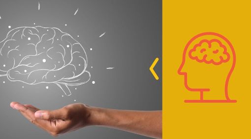 Neurociencia y manejo del cambio: Comprende la relación entre redes neurológicas y tus hábitos.